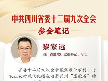 省财政厅党组书记、厅长黎家远：为全省农业农村现代化大局提供坚实财力保障丨全会参会笔记