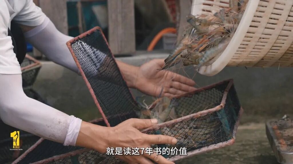 正片.mp4_20260810_223349.407.jpg