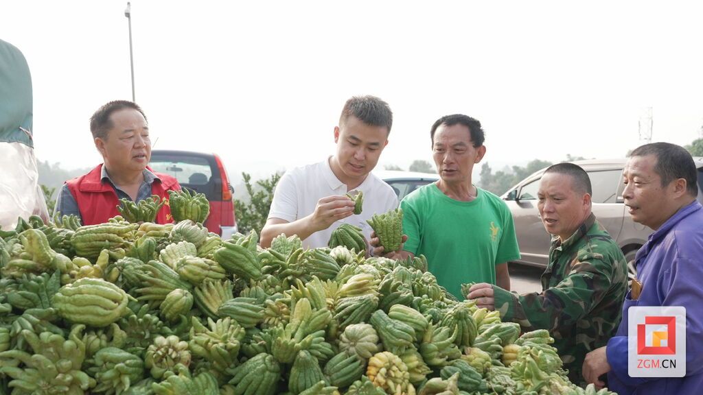 微信圖片_20250817235437.jpg