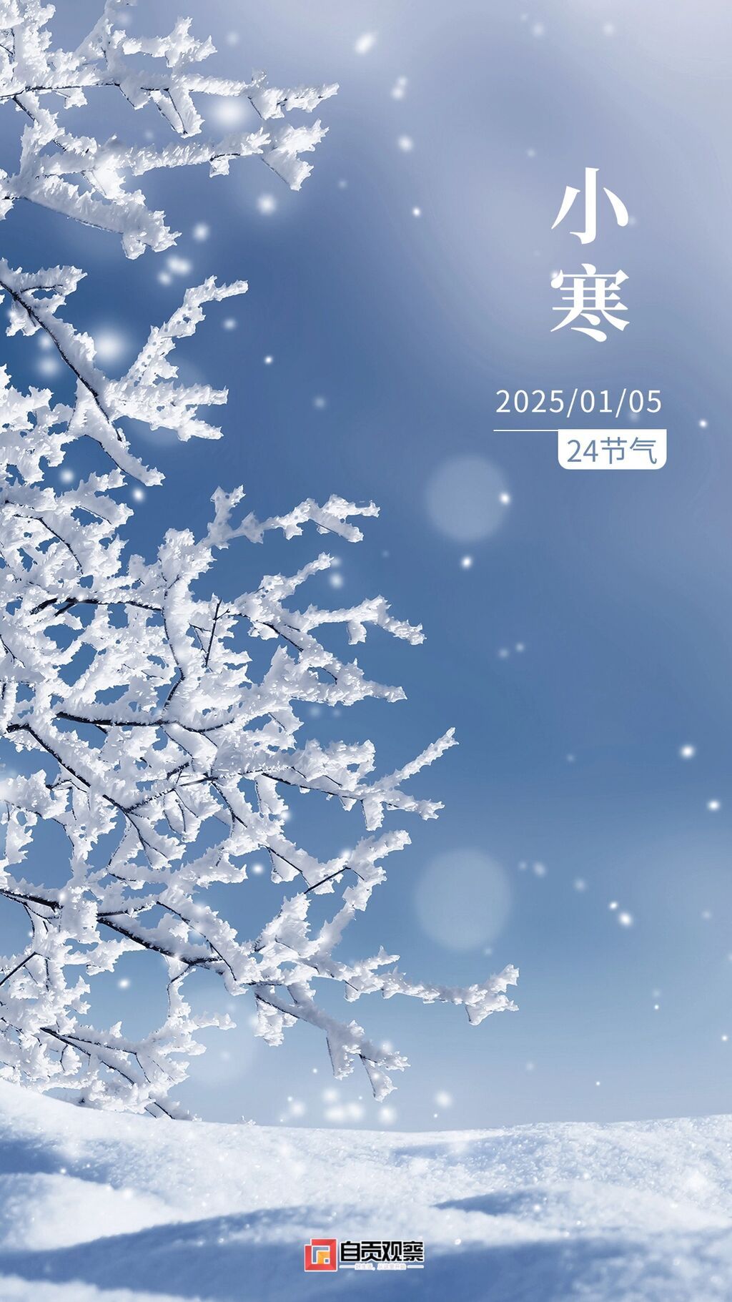 小寒節(jié)氣祝福問候?qū)嵕笆謾C(jī)海報(bào).jpg
