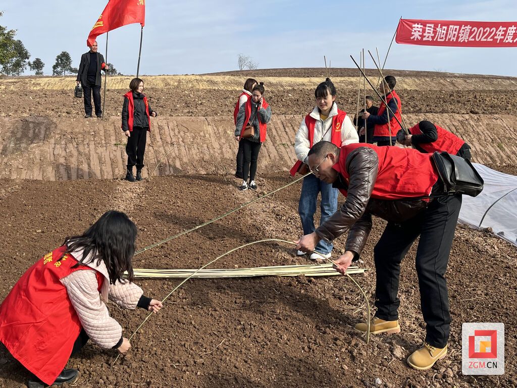 下载图片 (1).jpg