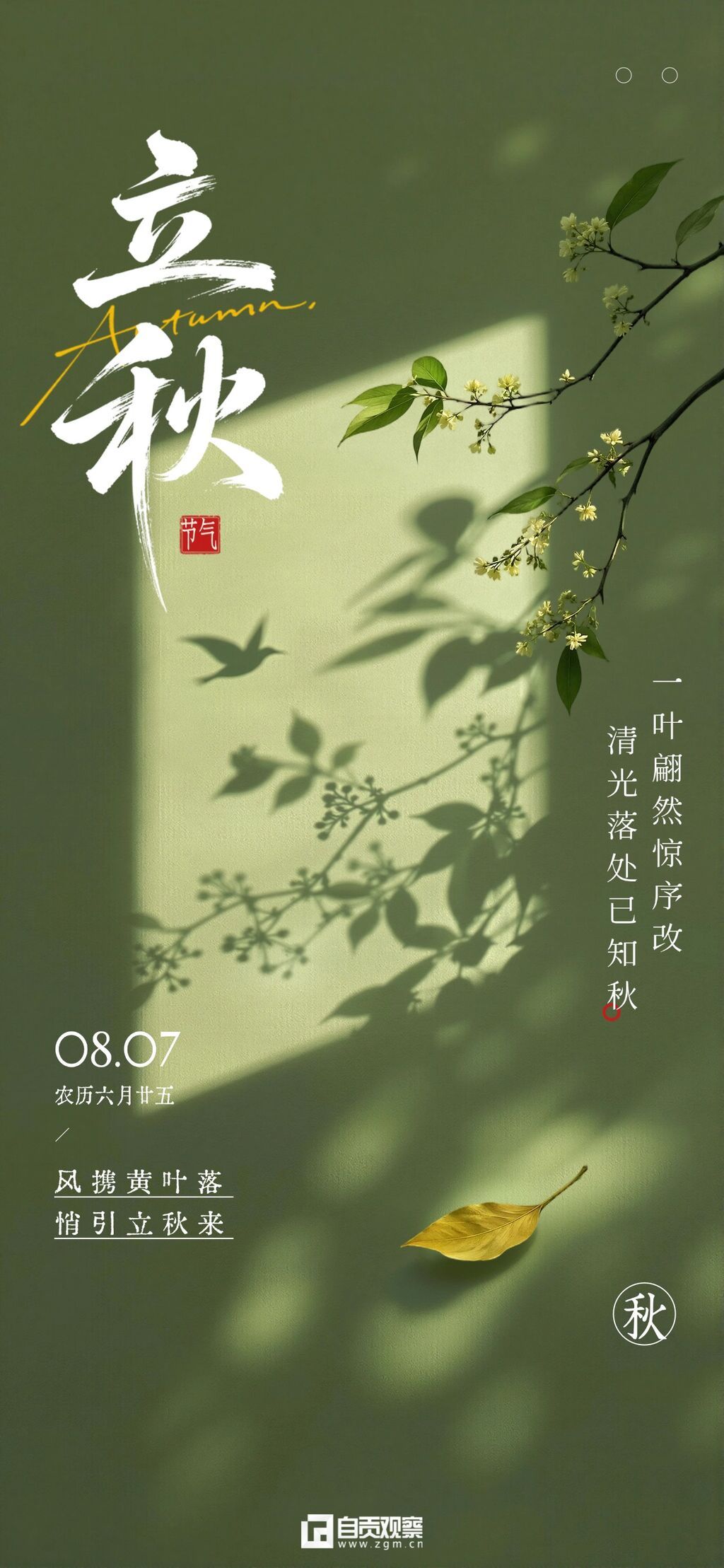 立秋通用节气祝福树枝落叶光影实景文艺风营销全屏竖版海报.jpg