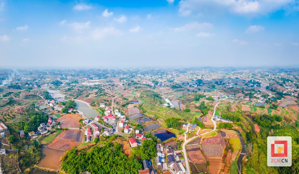 共和村一幅田产交融的现代田园画 记者 宋姿熠 摄.jpg