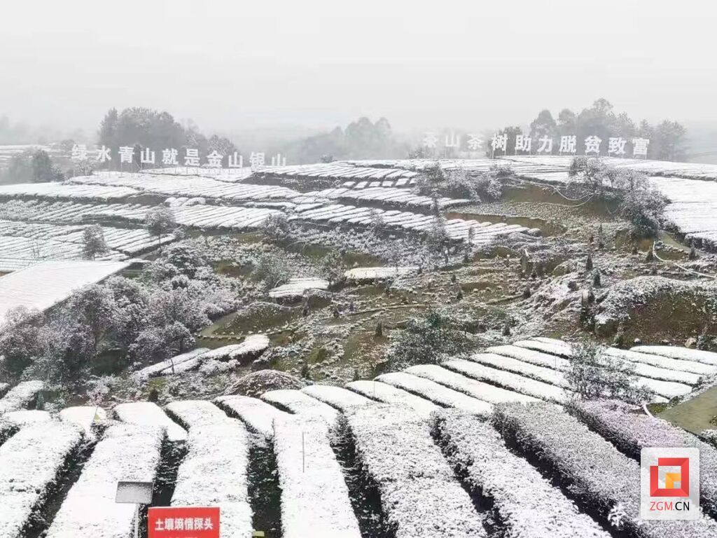 榮縣一洞橋村.jpg