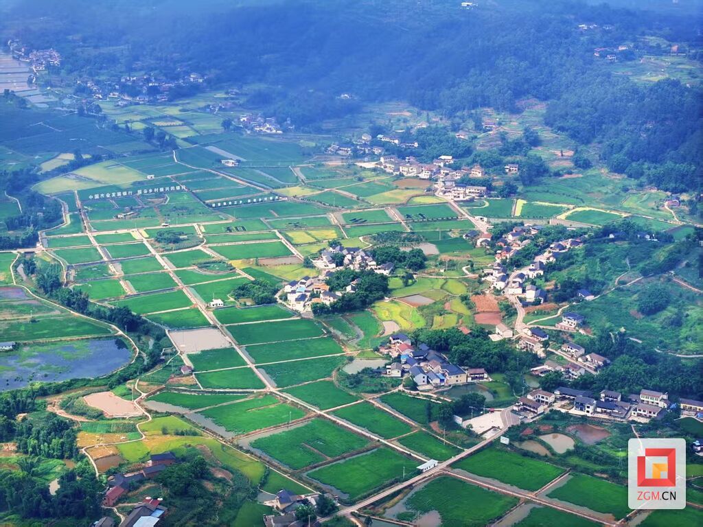 微信圖片_2025-08-13_092947_149.jpg