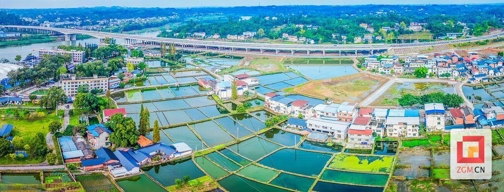 斑斓田畴与密集鱼塘如天然调色盘，传统的村舍民居点缀其间，与田园相依，展现出一幅生机勃勃的乡村画卷 记者 宋姿熠 摄。 (2).jpg