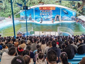 “五一”假期首日全川迎来旅游热潮，景区接待游客人次、门票收入双增长