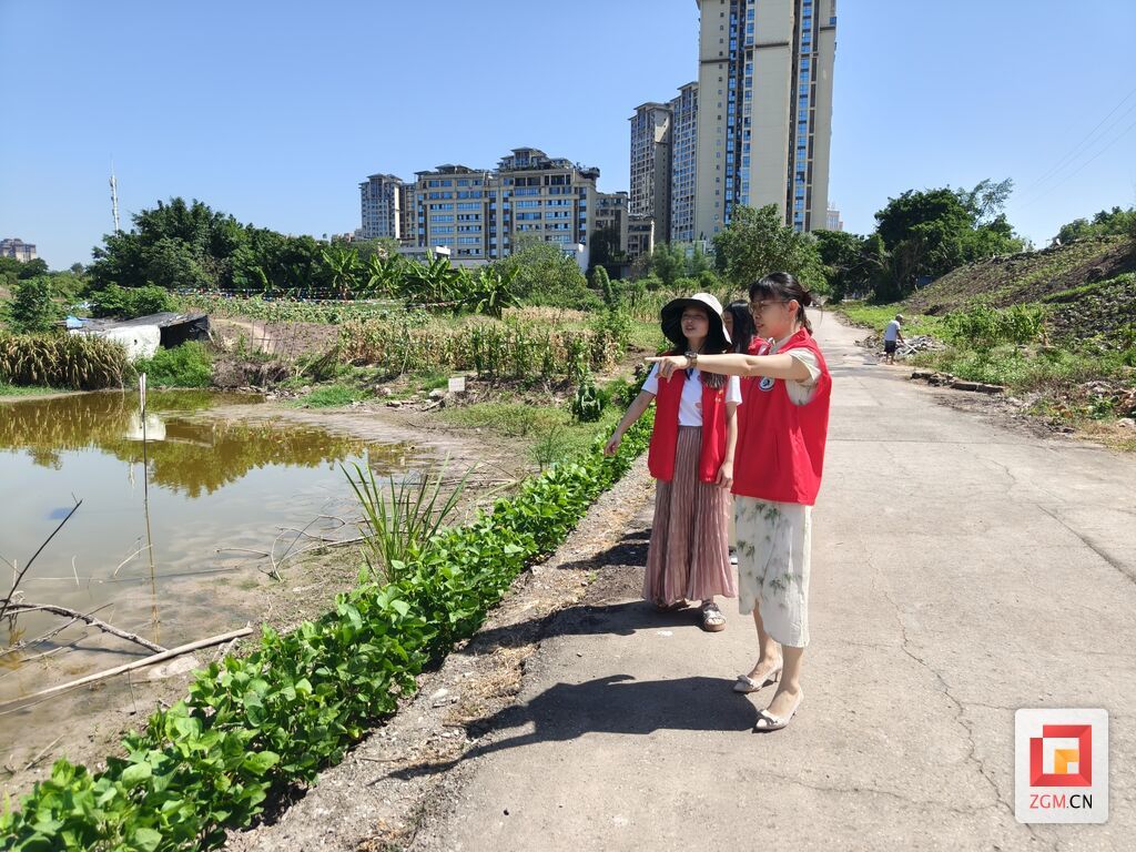 微信图片_20260721121954_431_172.jpg
