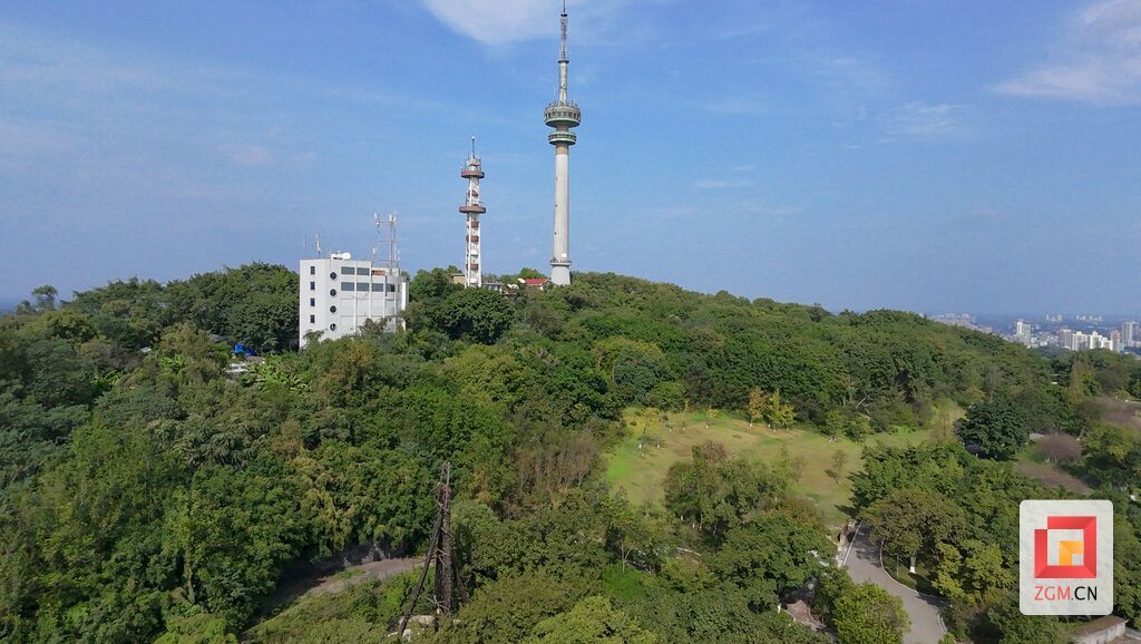 圖為鹽都植物園與電視塔遙相呼應.jpg