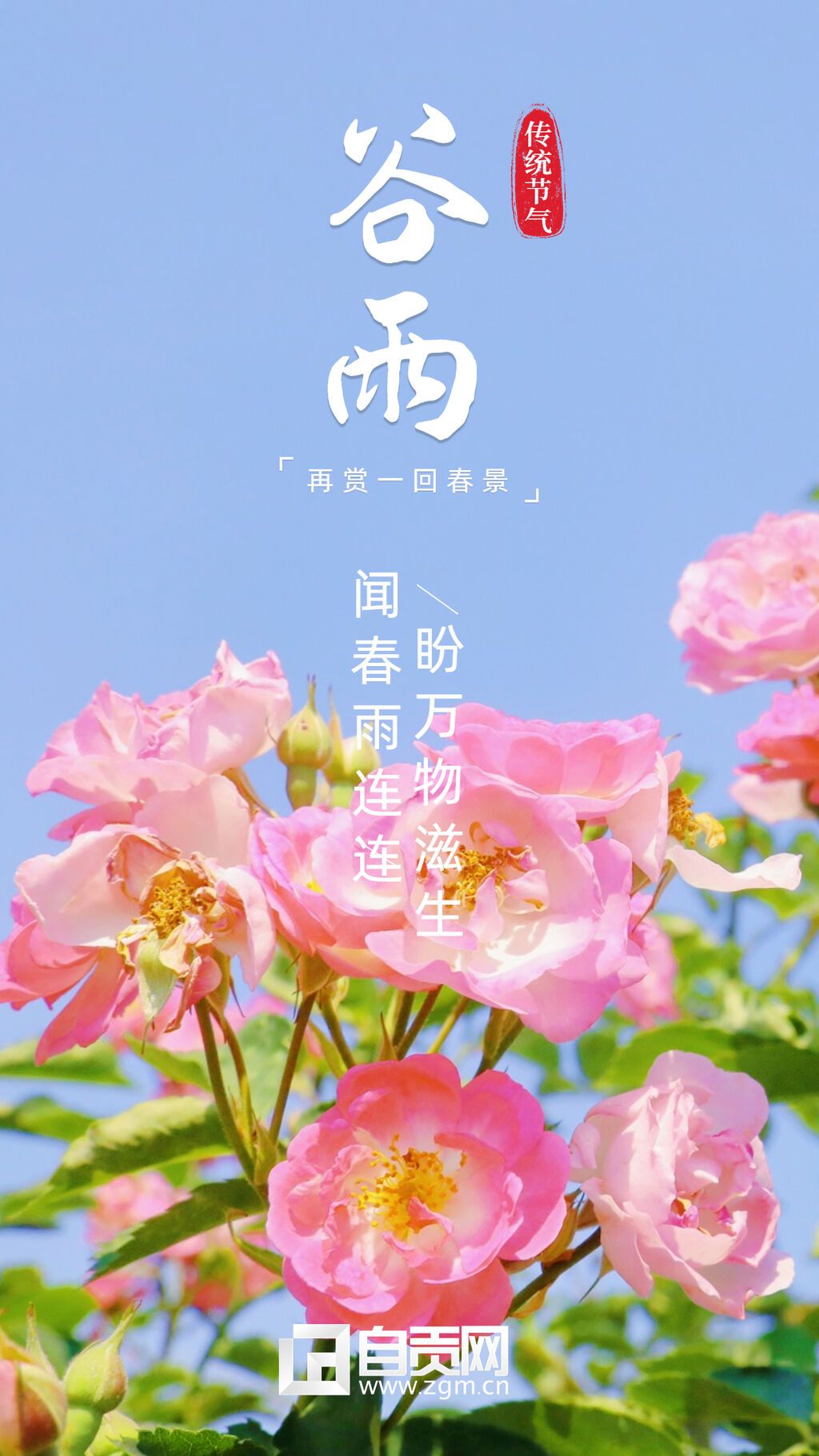 谷雨海報(bào)1.jpg