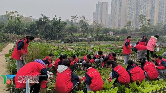 Image_447708274475531.jpg