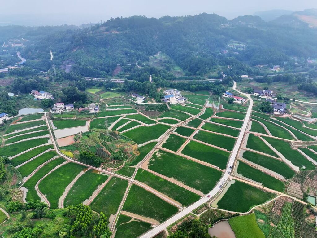 微信圖片_2025-08-13_092940_698.jpg