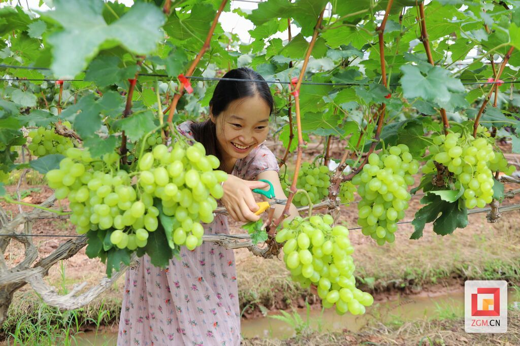 微信图片_20260703121059_5644_74.jpg
