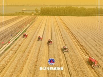 全国“三夏”大规模小麦机收全面展开