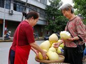 建设镇：金秋“柚”惑