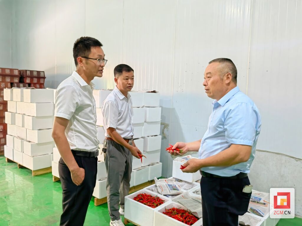 保鮮庫投用存放采摘的辣椒.jpg