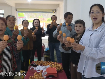 直播鹽都｜榮縣新橋枇杷“甜”出圈