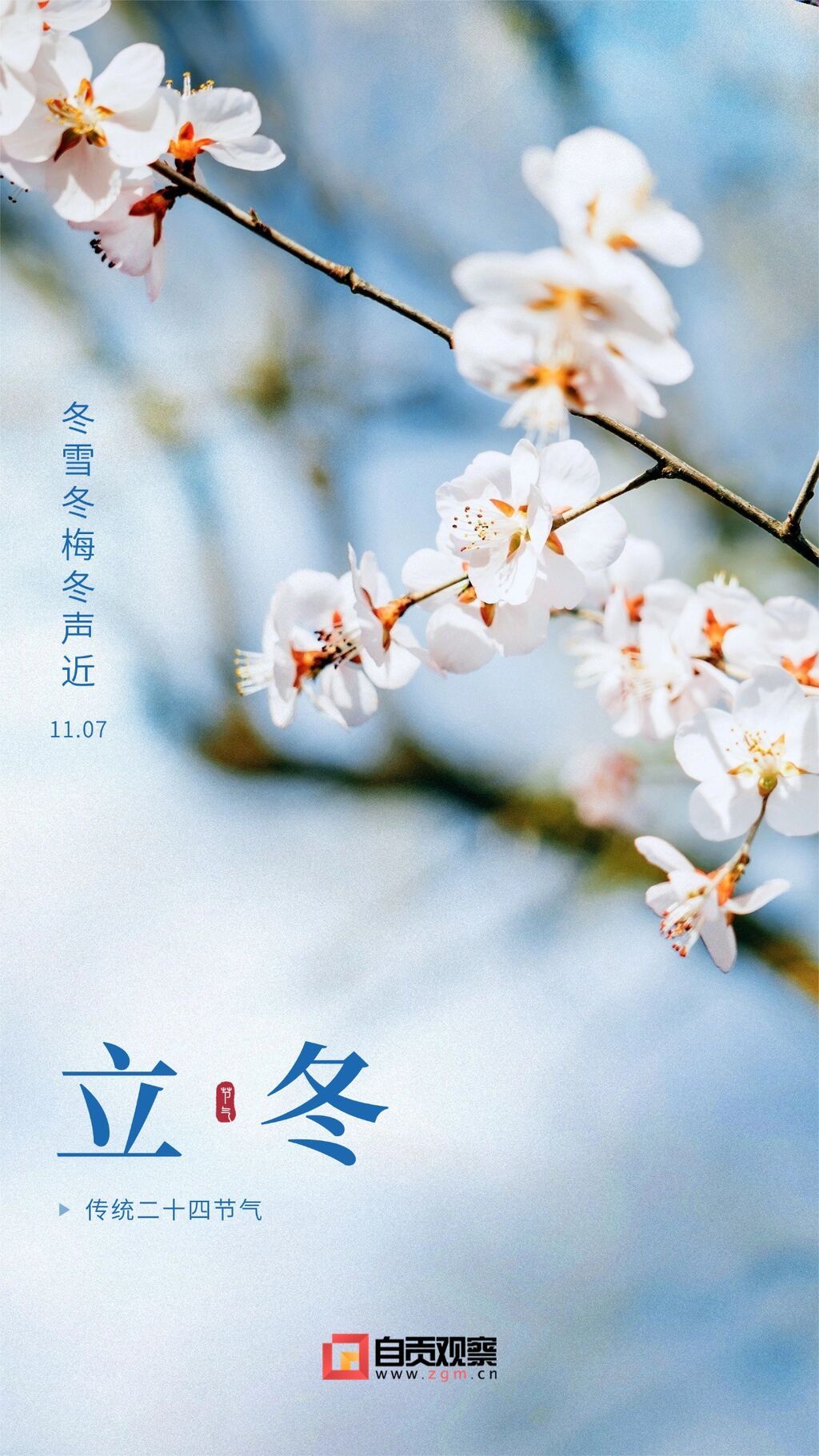 立冬节气祝福实景排版手机海报.jpg