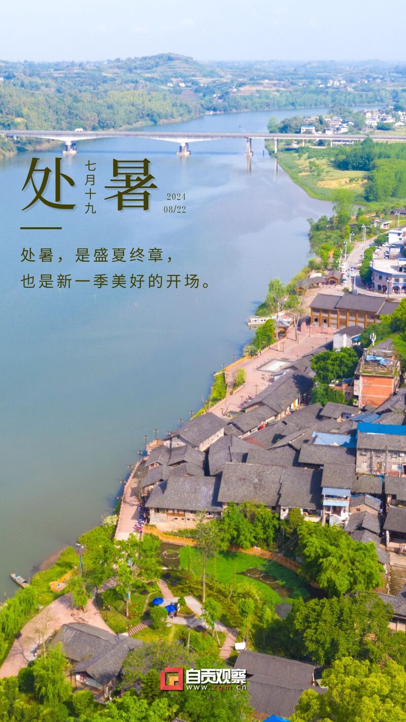 胡梦媛 