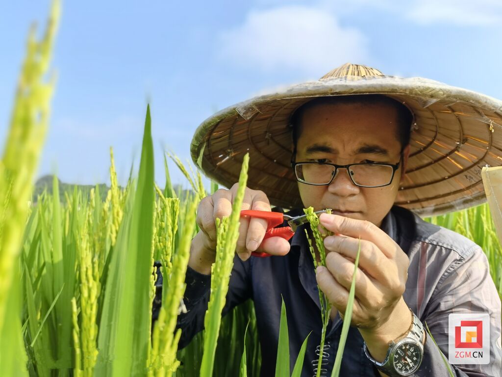 【自贡青年说】鄢圣敏:品尝孤独的稻田守望者.jpg