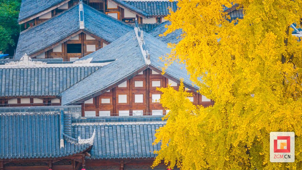 王家大院传统屋檐，聚焦金黄的银杏叶营造“画中有画”的视觉效果，突显东方美学的意境 记者 宋姿熠 摄.jpg