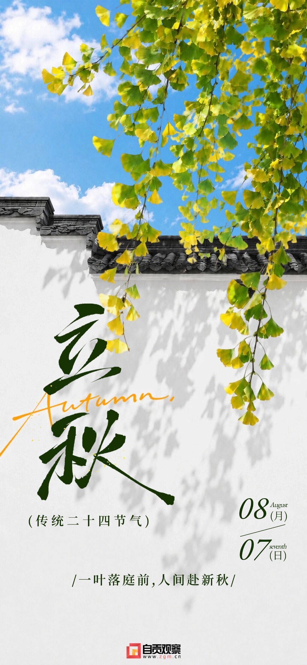 银杏叶背景立秋节气祝福海报.jpg