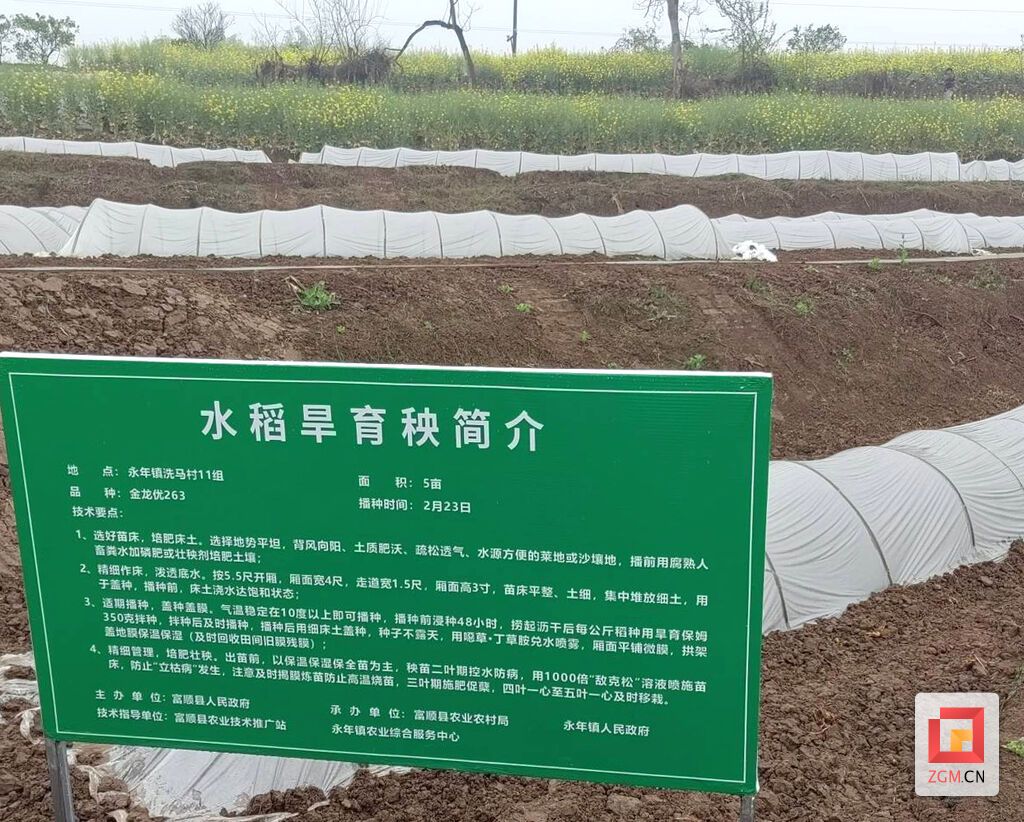 下载图片.jpg
