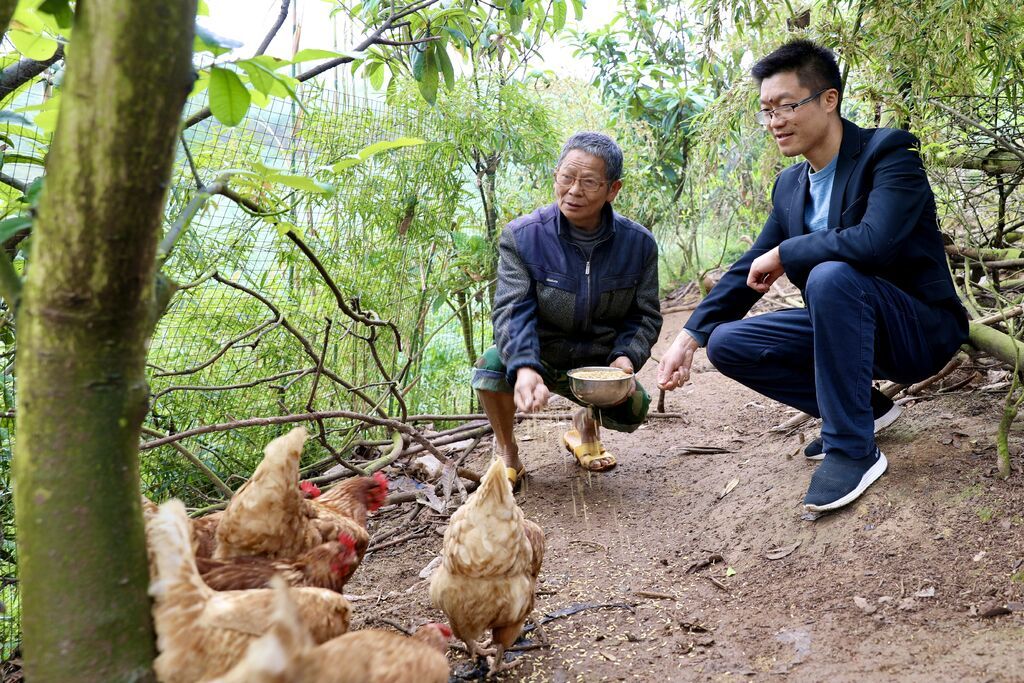 图：潘朝洪和石堰村5组村民王德友一起喂鸡