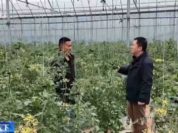 央媒看四川｜一起听懂地的话 “春耕合伙人”新模式带来新变化