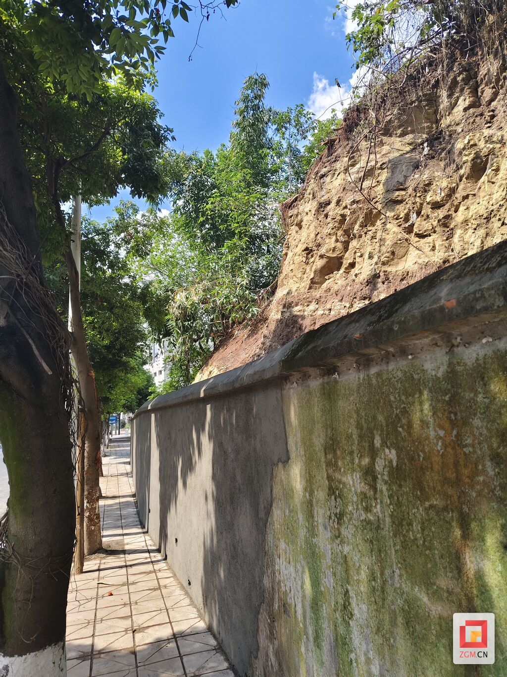 整治后.jpg