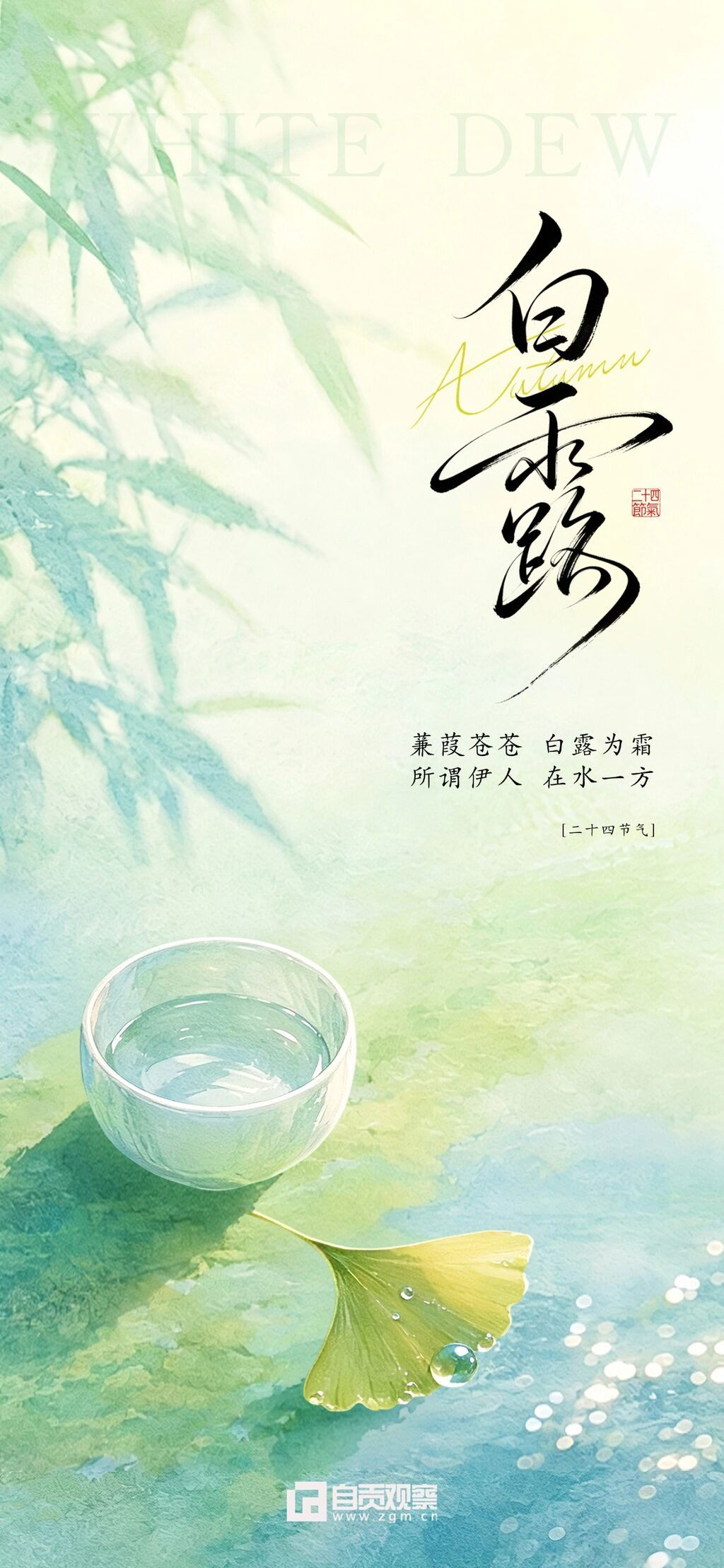 白露 企业行政 白露节气祝福 国风水彩插画 朋友圈 全屏海报3.jpg