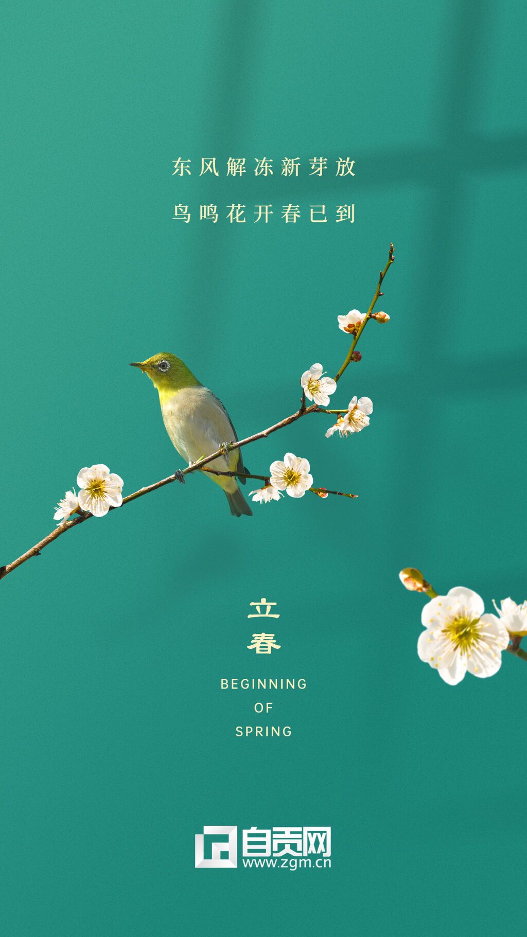 立春祝福春天實(shí)景節(jié)氣手機(jī)海報(bào).jpg
