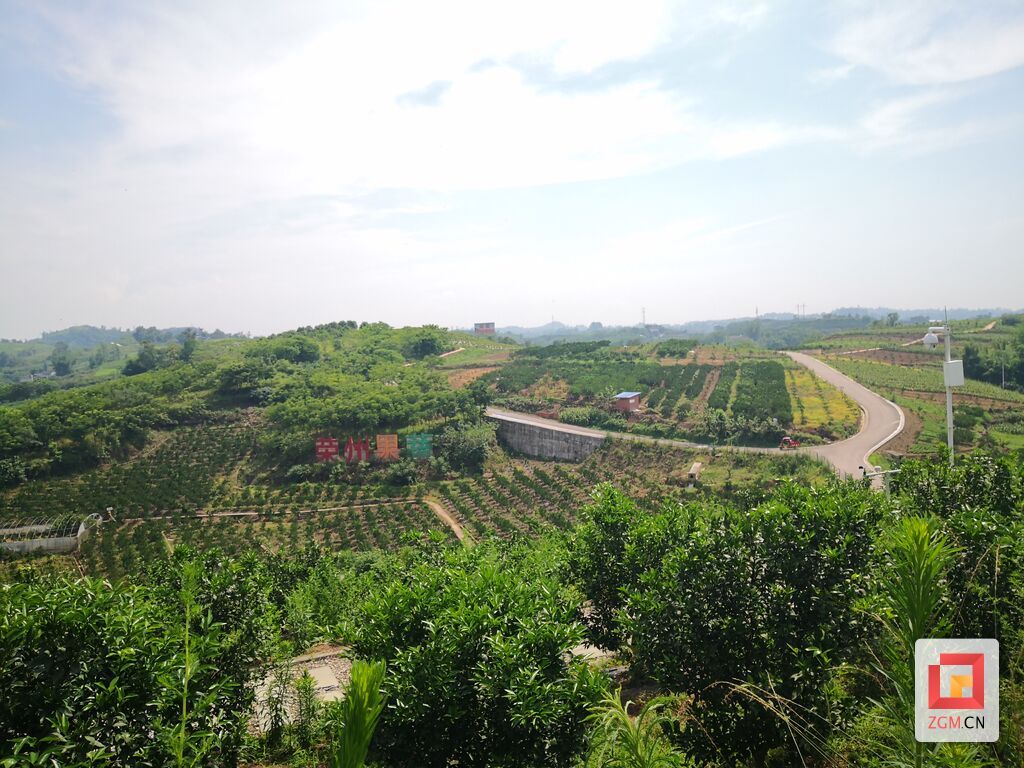 助力榮縣雙石鎮(zhèn)成功創(chuàng)建為全省鄉(xiāng)村振興示范鎮(zhèn).jpg
