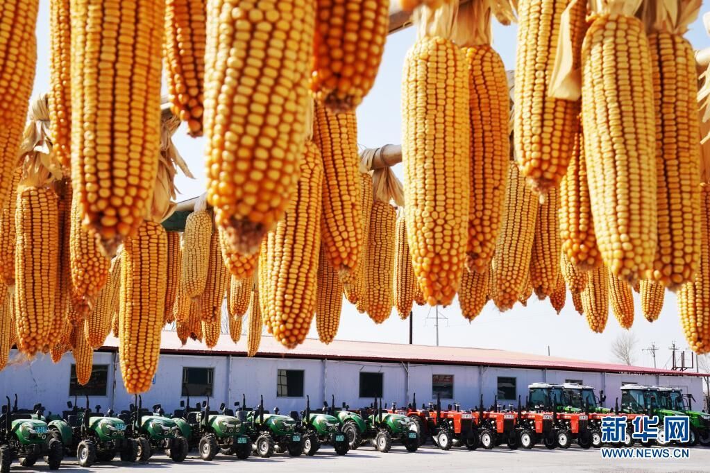 供春耕使用的农机在黑龙江省龙江县秋美农机农民专业合作社大院内整齐排列（2020年4月9日摄）。新华社记者 王建威 摄