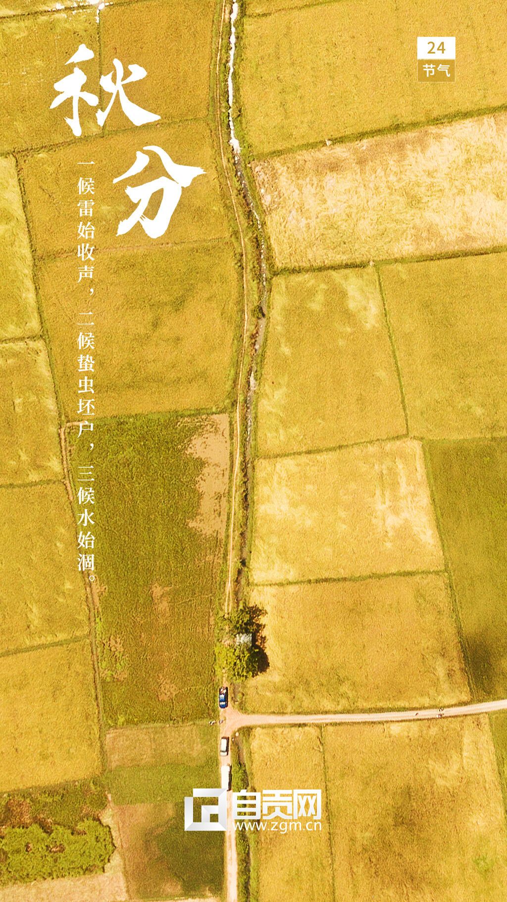 通用秋分節(jié)氣祝福實景手機海報 (2).jpg