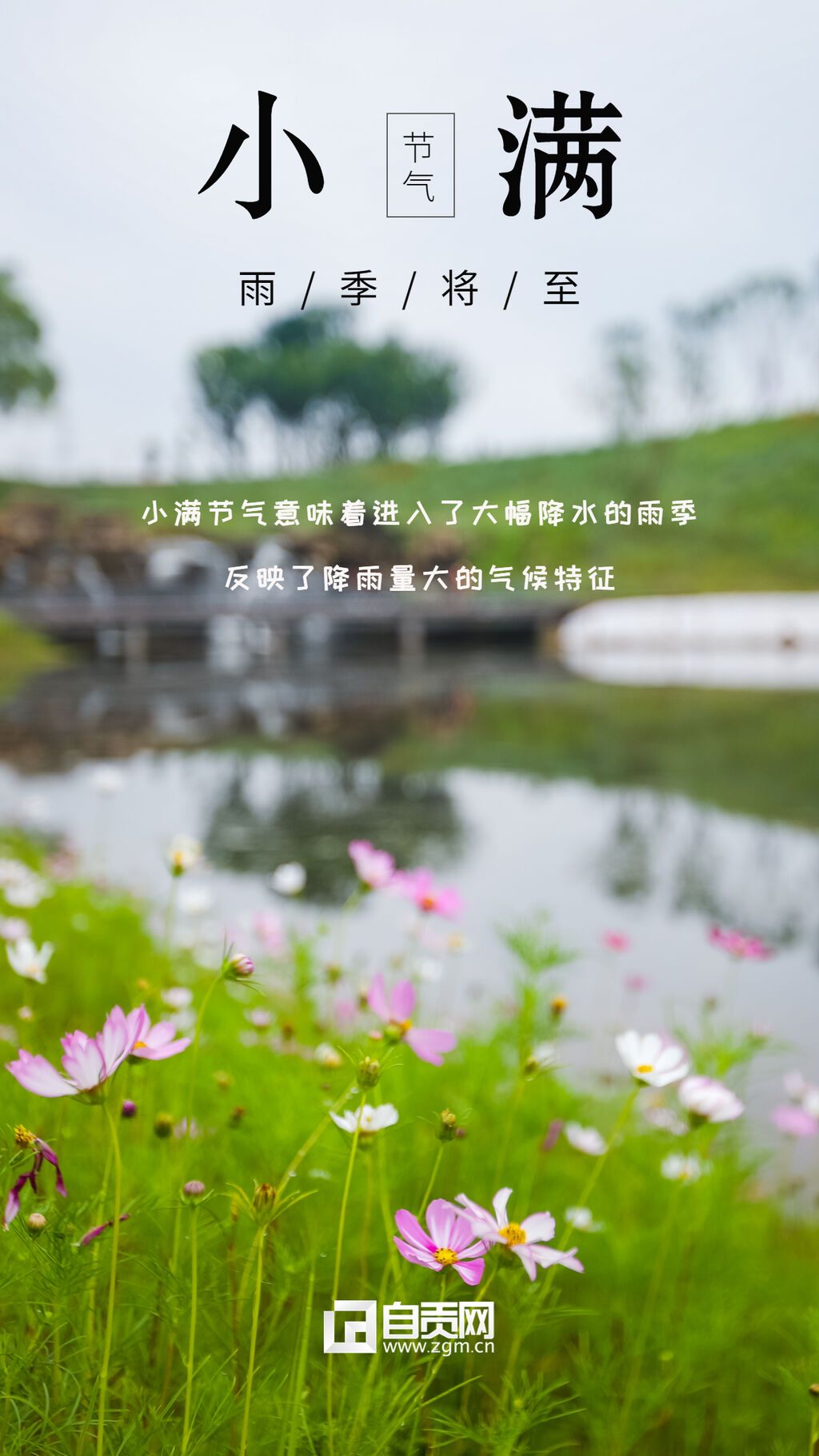 旅游票務(wù)代理小滿節(jié)氣營銷手機(jī)海報(bào) (4).jpg