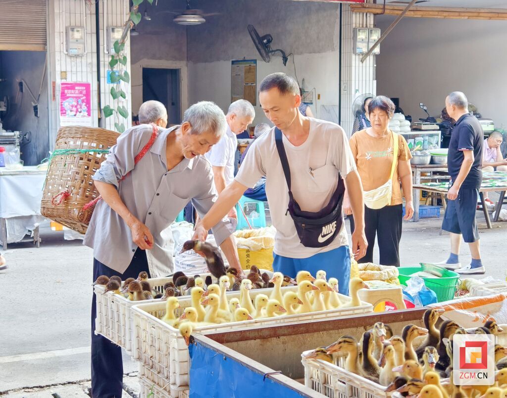 赶场天市民在大山铺购买家禽 记者 罗祥瑞摄.jpg