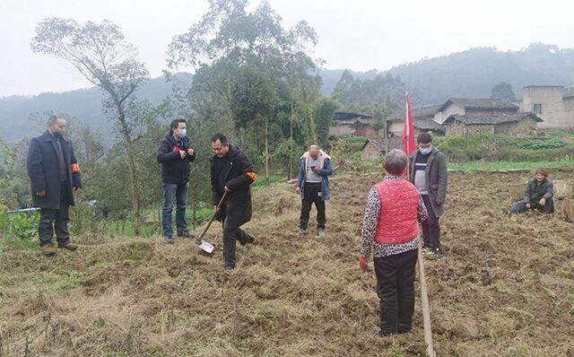 圖為在田間幫村民勞作 (1).jpg