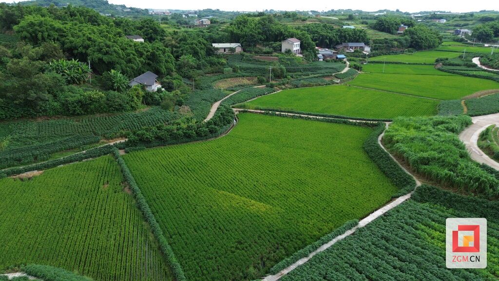 DJI_0665.JPG