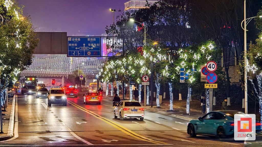 华商南街彩灯五彩绚丽 记者 罗祥瑞 摄.jpg