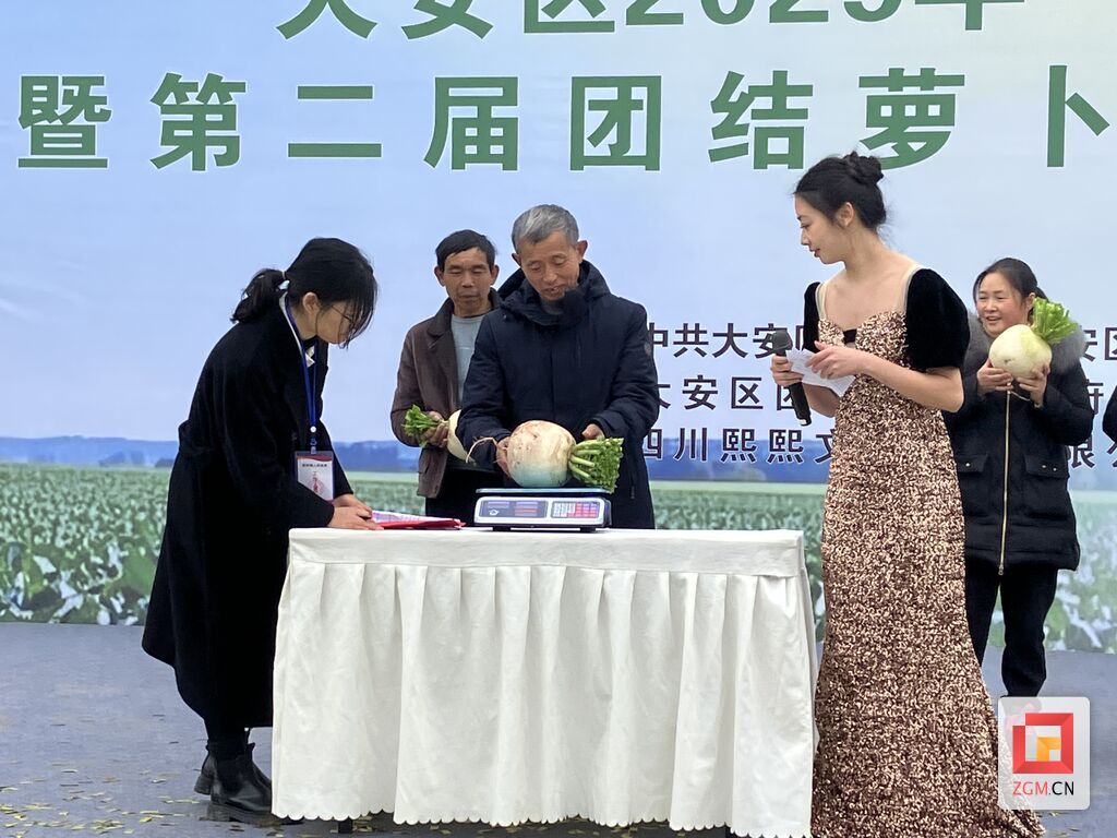微信图片_20250214153344.jpg