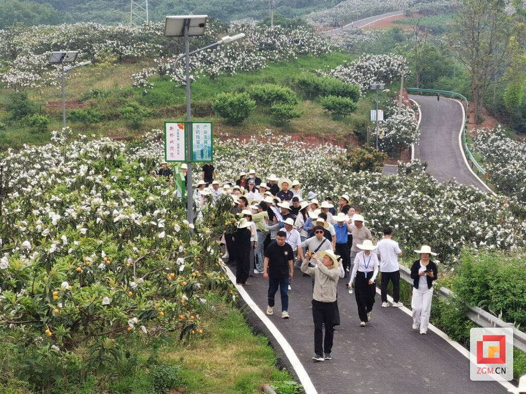 微信圖片_20250515114625.jpg