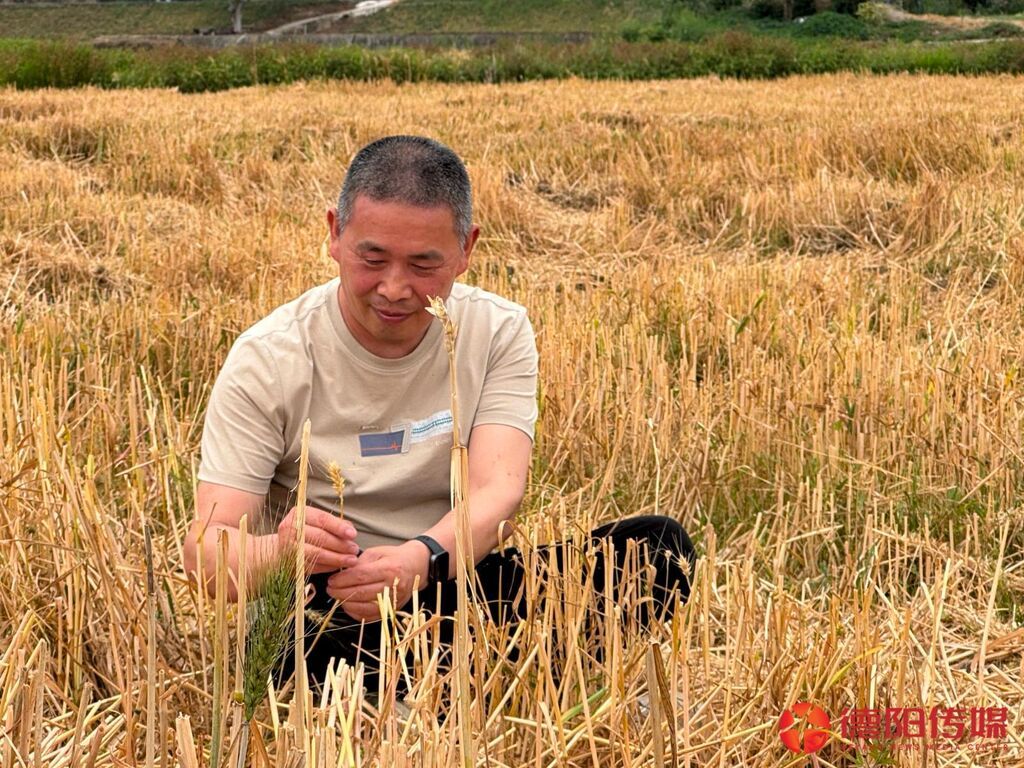 杨俊富称自己是“乡村的一只小小鸟”。.jpg