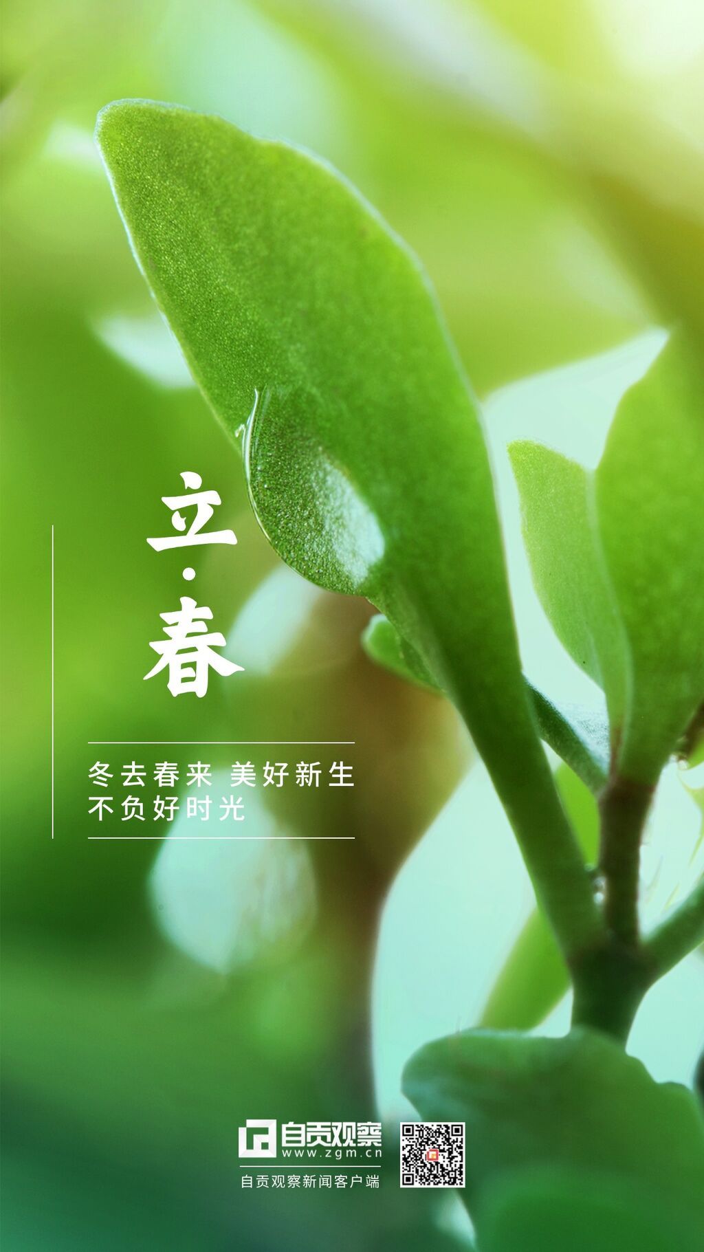立春祝福春天你好實景節(jié)氣手機海報 (1).jpg