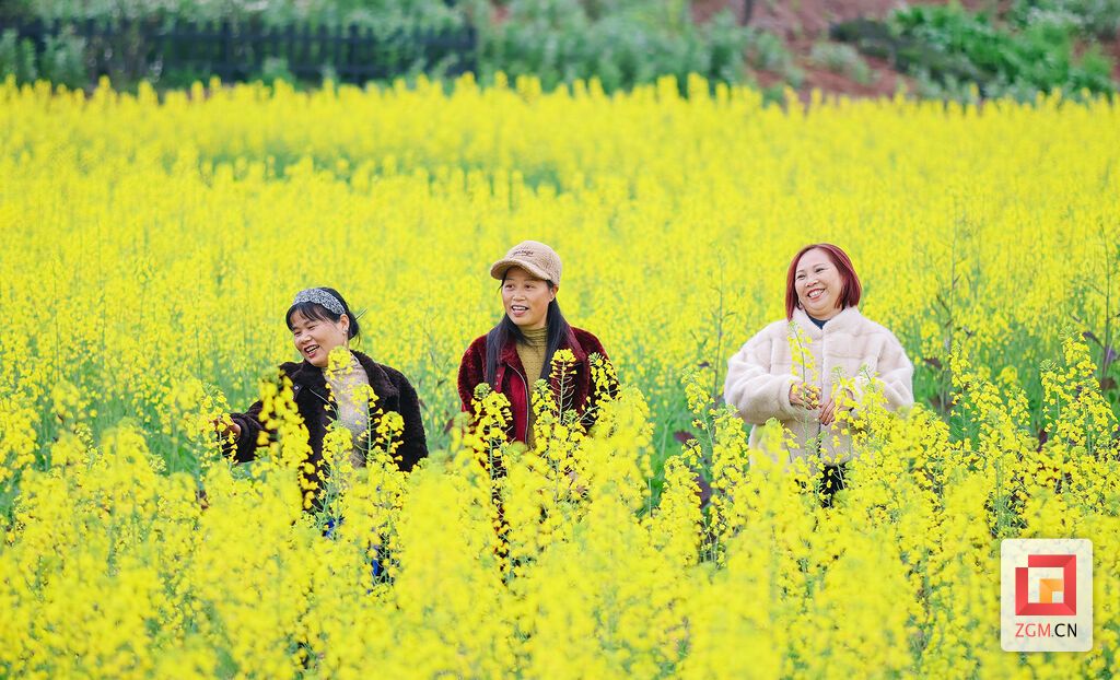 欢声笑语沐春风 记者 宋姿熠 摄.jpg