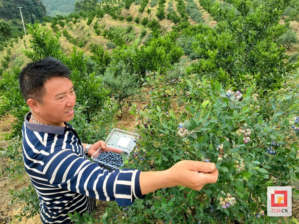 微信图片_20250523150251.jpg