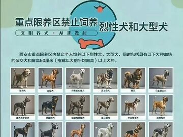 多地解禁土狗！童年的“大黄”可以回家了
