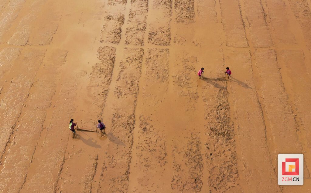 DJI_0451.jpg