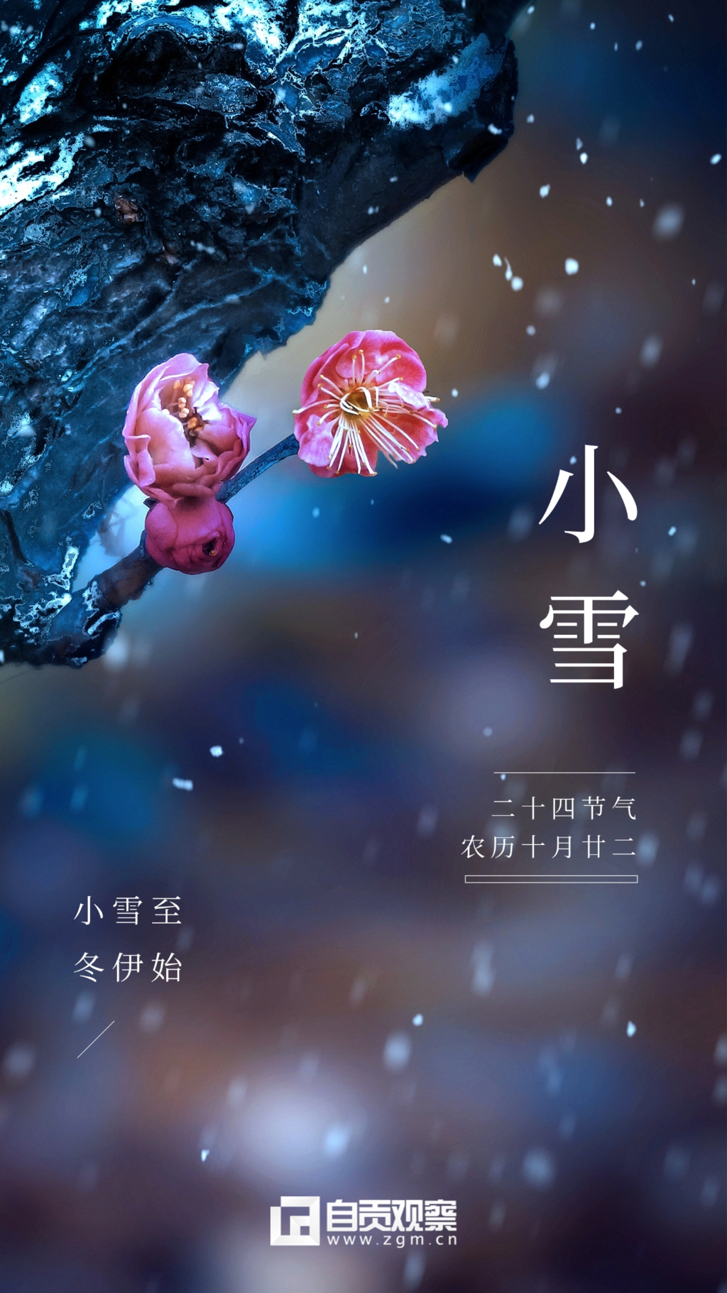 稿定設(shè)計(jì)-4.png