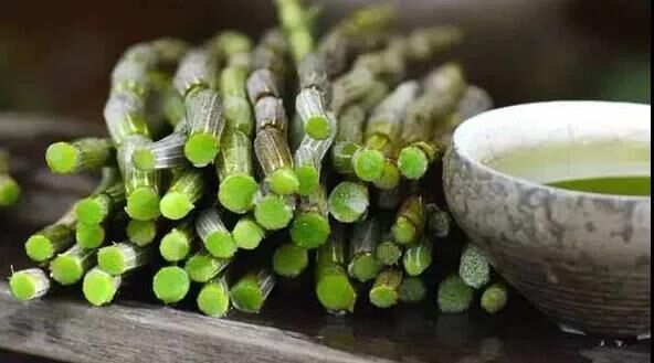 石斛鮮條
